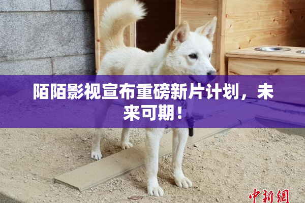 陌陌影视宣布重磅新片计划，未来可期！