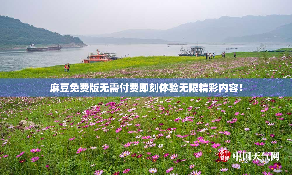 麻豆免费版无需付费即刻体验无限精彩内容！