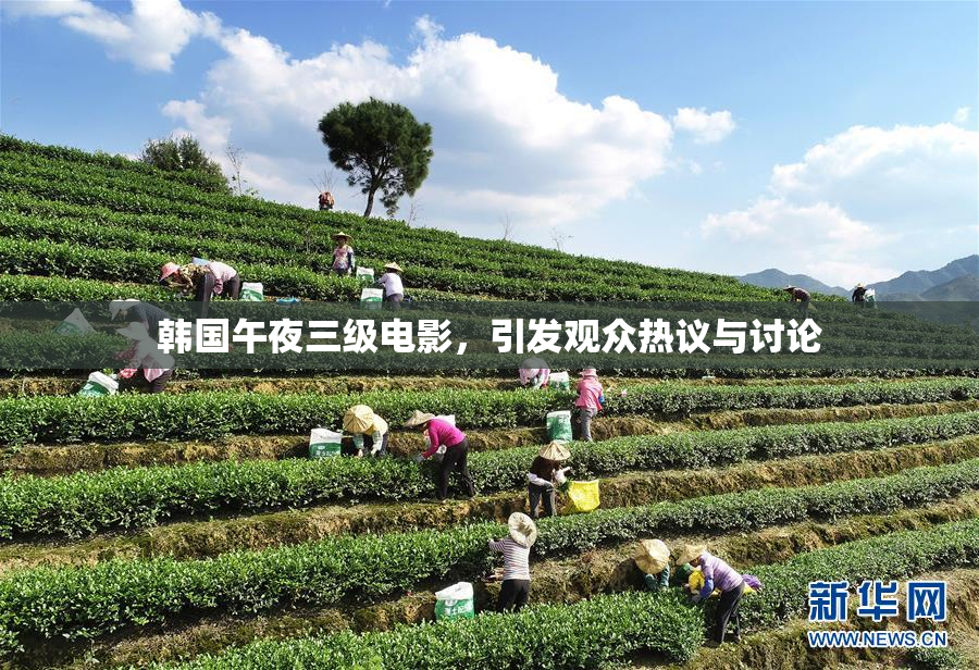 韩国午夜三级电影，引发观众热议与讨论