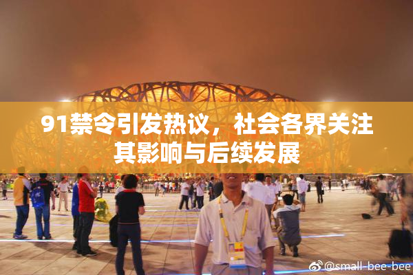 91禁令引发热议，社会各界关注其影响与后续发展