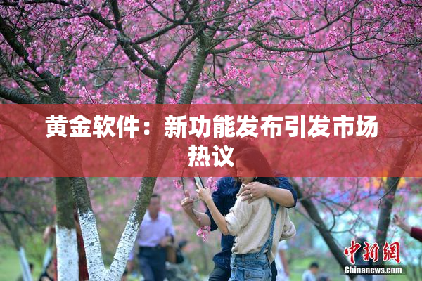 黄金软件：新功能发布引发市场热议
