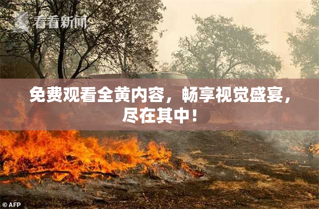 免费观看全黄内容，畅享视觉盛宴，尽在其中！