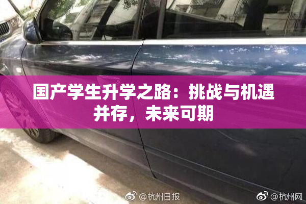 国产学生升学之路：挑战与机遇并存，未来可期