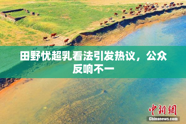 田野忧超乳看法引发热议，公众反响不一