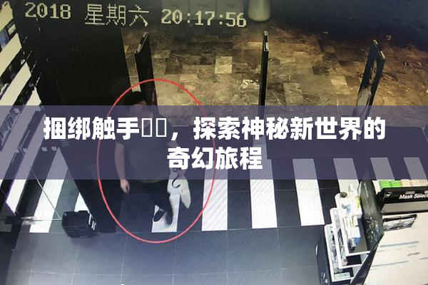 捆绑触手❌‌，探索神秘新世界的奇幻旅程