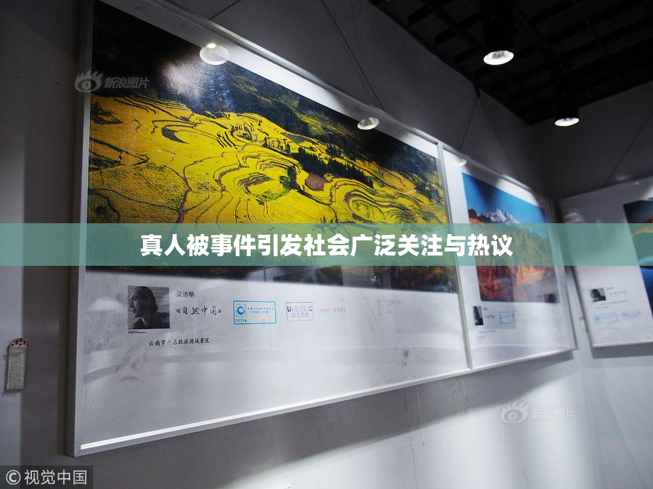 真人被事件引发社会广泛关注与热议
