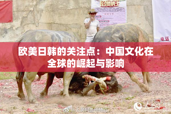 欧美日韩的关注点：中国文化在全球的崛起与影响