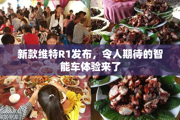 新款维特R1发布，令人期待的智能车体验来了