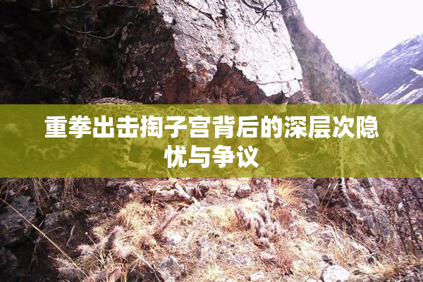 重拳出击掏子宫背后的深层次隐忧与争议