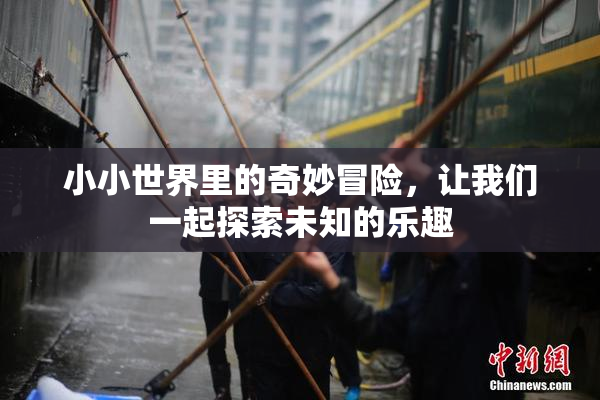 小小世界里的奇妙冒险，让我们一起探索未知的乐趣