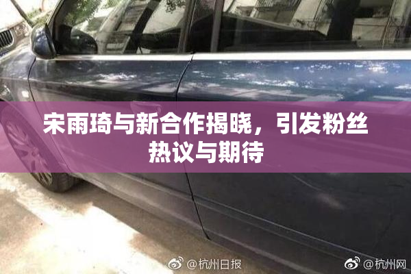 宋雨琦与新合作揭晓，引发粉丝热议与期待
