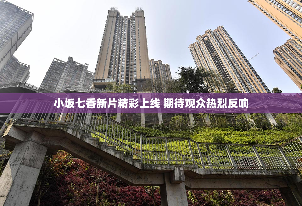小坂七香新片精彩上线 期待观众热烈反响