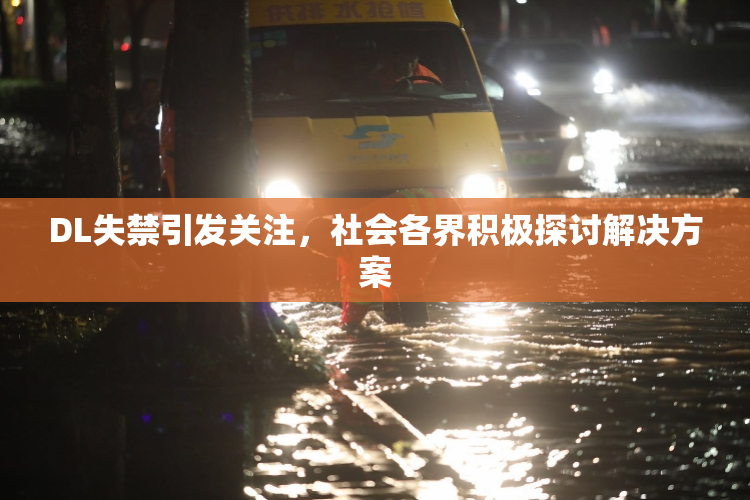 DL失禁引发关注，社会各界积极探讨解决方案