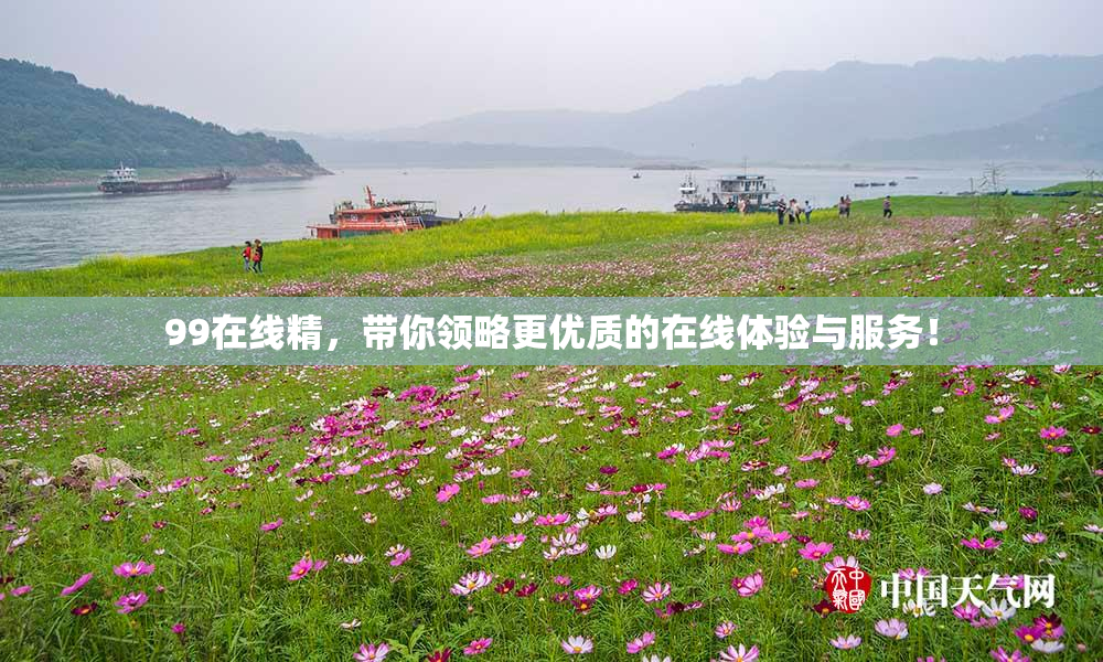 99在线精，带你领略更优质的在线体验与服务！