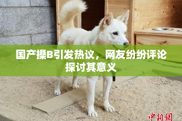 国产搡B引发热议，网友纷纷评论探讨其意义
