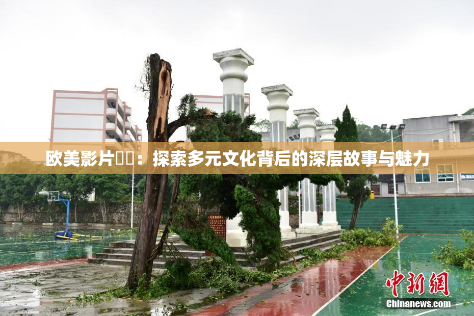 欧美影片❌‌：探索多元文化背后的深层故事与魅力