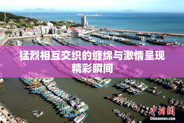 猛烈相互交织的缠绵与激情呈现精彩瞬间