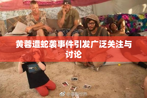 黄蓉遭蛇袭事件引发广泛关注与讨论