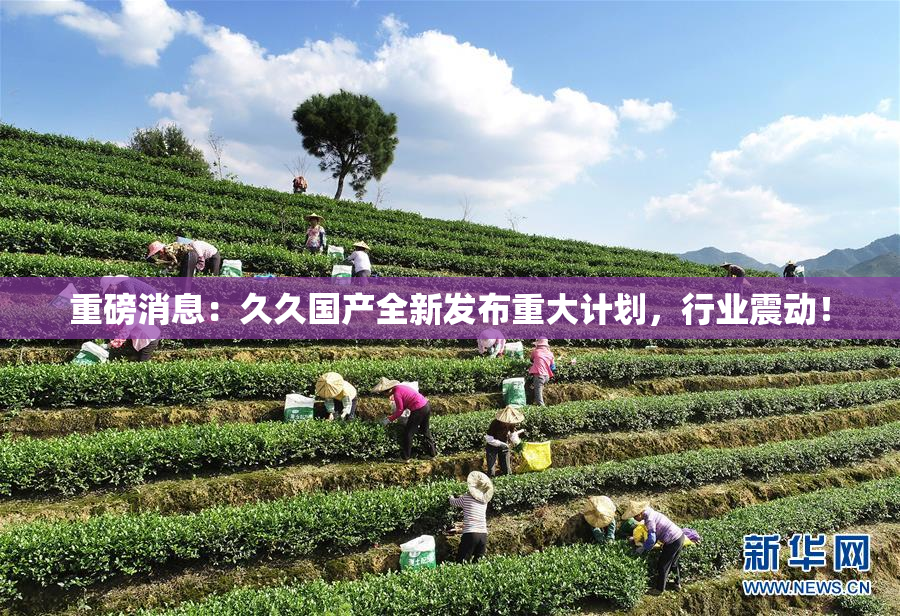 重磅消息：久久国产全新发布重大计划，行业震动！