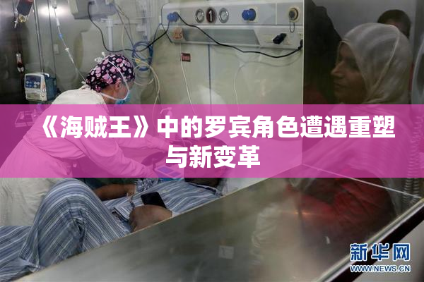 《海贼王》中的罗宾角色遭遇重塑与新变革
