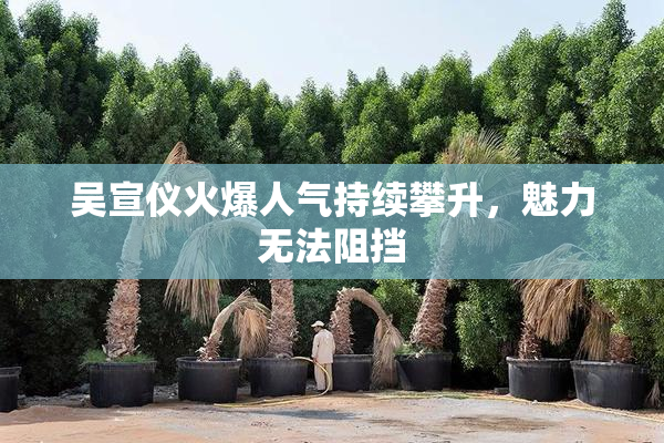 吴宣仪火爆人气持续攀升，魅力无法阻挡