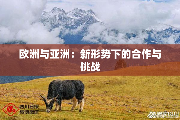 欧洲与亚洲：新形势下的合作与挑战