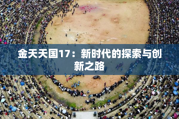 金天天国17：新时代的探索与创新之路