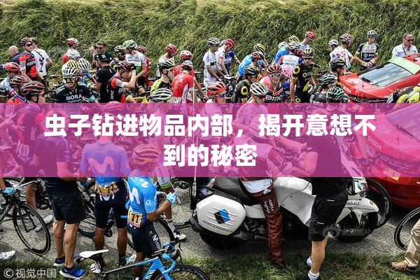 虫子钻进物品内部，揭开意想不到的秘密