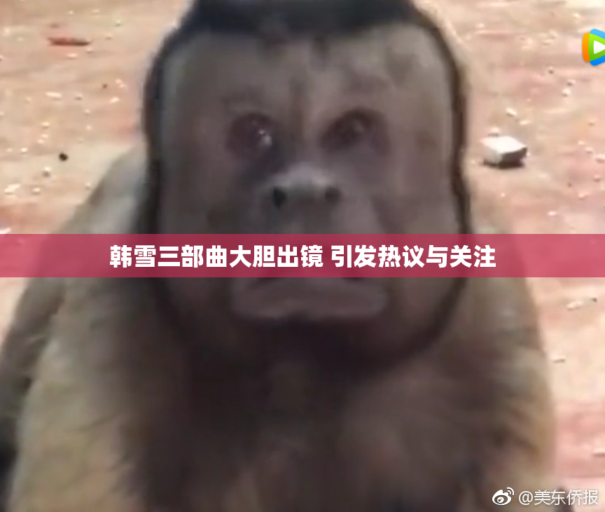 韩雪三部曲大胆出镜 引发热议与关注