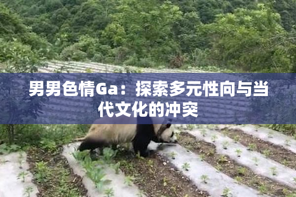男男色情Ga：探索多元性向与当代文化的冲突