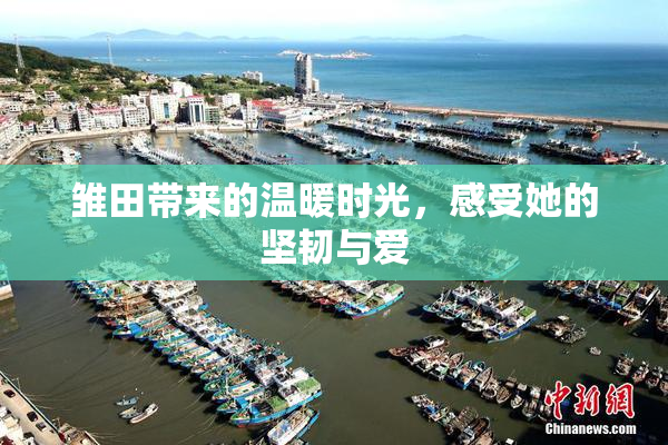 雏田带来的温暖时光，感受她的坚韧与爱
