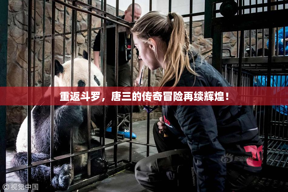 重返斗罗，唐三的传奇冒险再续辉煌！