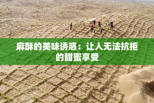 麻酥的美味诱惑：让人无法抗拒的甜蜜享受