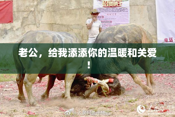 老公，给我添添你的温暖和关爱！