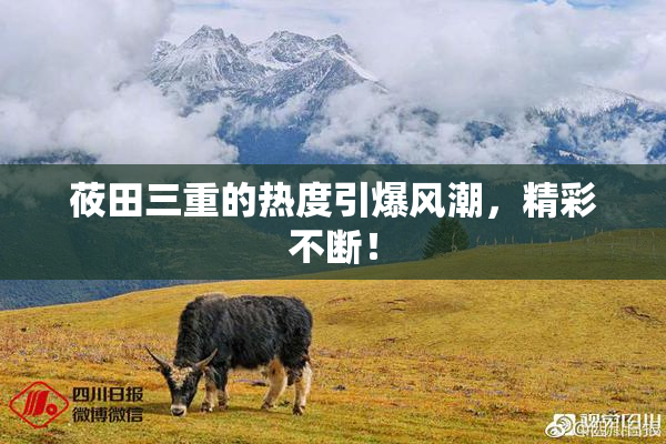 莜田三重的热度引爆风潮，精彩不断！