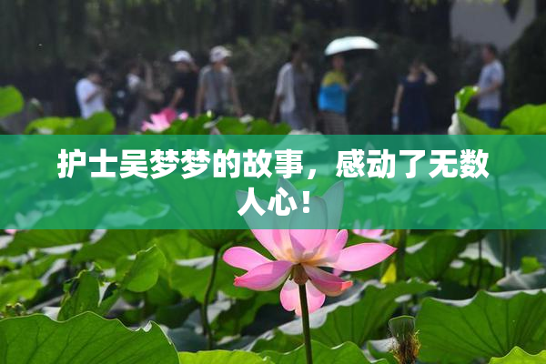 护士吴梦梦的故事，感动了无数人心！
