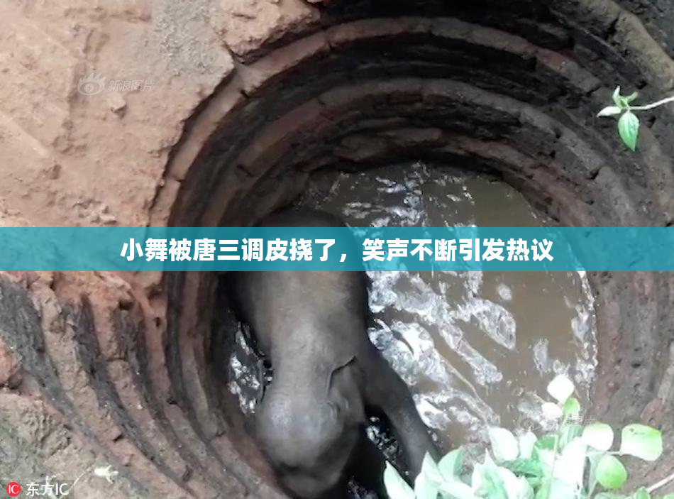 小舞被唐三调皮挠了，笑声不断引发热议
