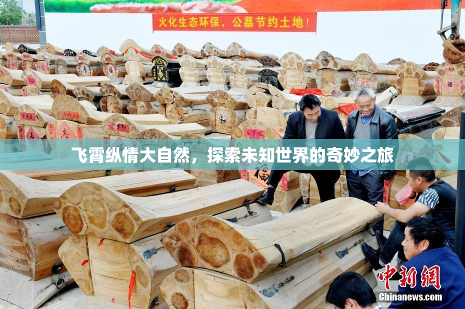 飞霄纵情大自然，探索未知世界的奇妙之旅