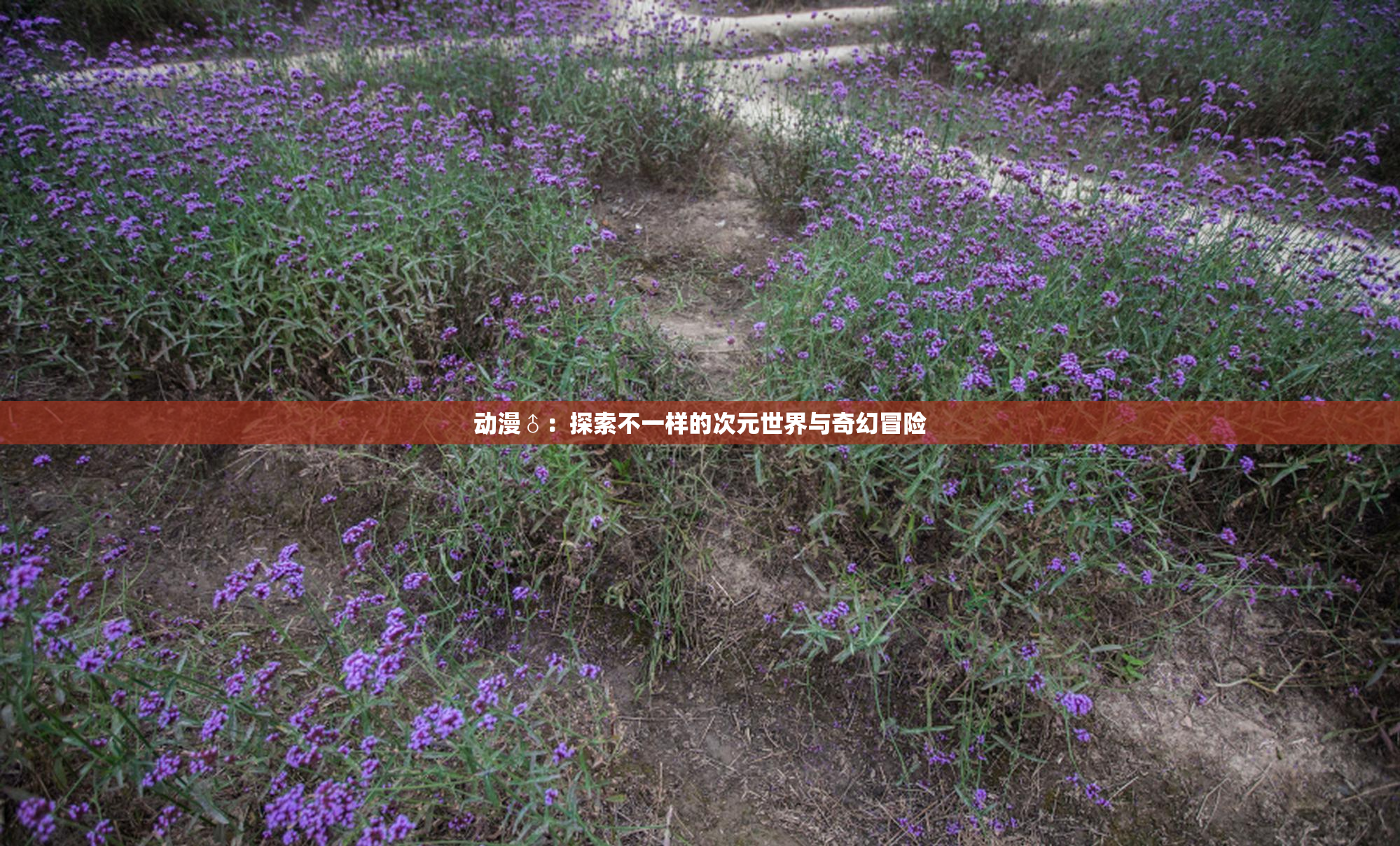 动漫♂：探索不一样的次元世界与奇幻冒险