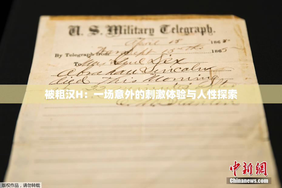 被粗汉H：一场意外的刺激体验与人性探索