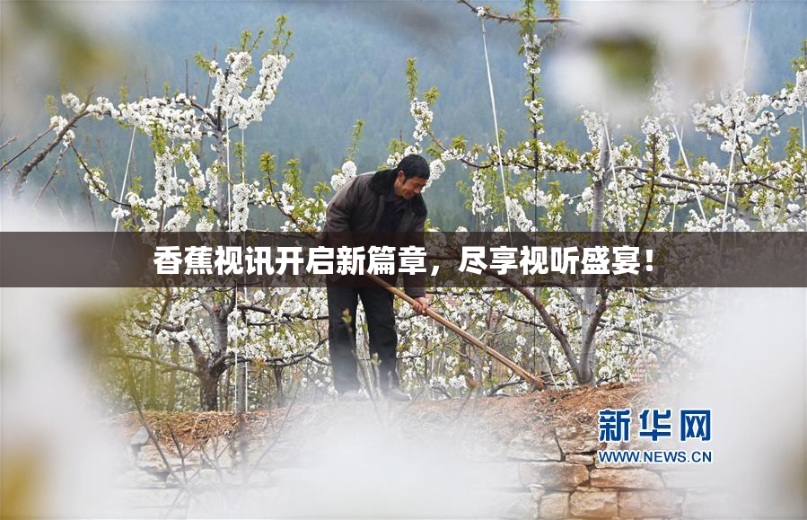 香蕉视讯开启新篇章，尽享视听盛宴！