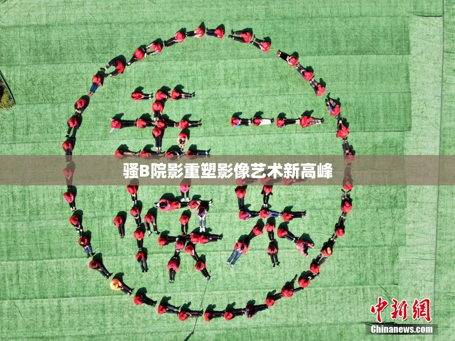 骚B院影重塑影像艺术新高峰