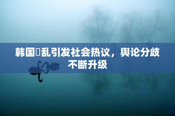 韩国婬乱引发社会热议，舆论分歧不断升级