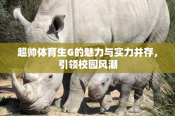 超帅体育生G的魅力与实力并存，引领校园风潮