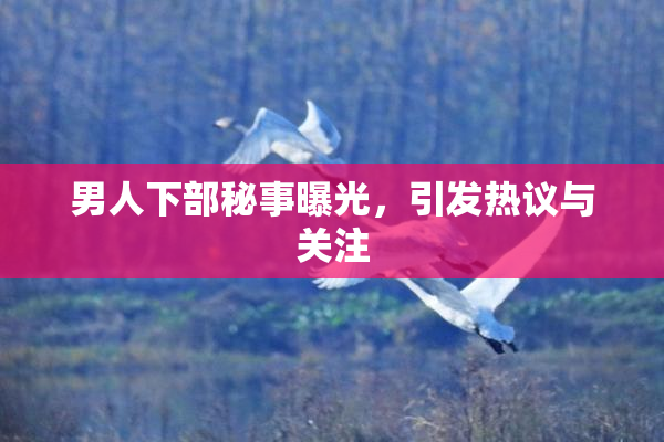 男人下部秘事曝光，引发热议与关注