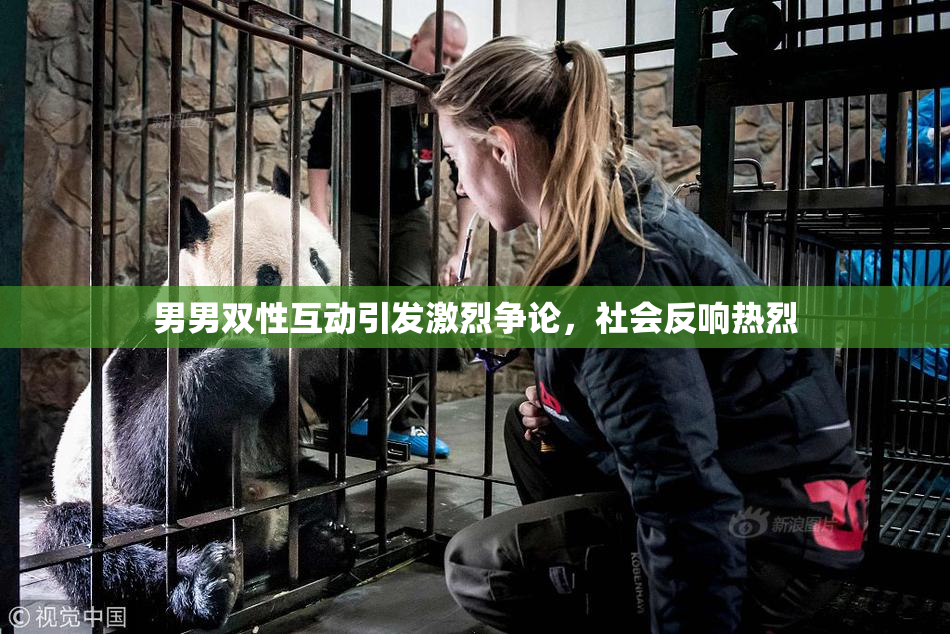 男男双性互动引发激烈争论，社会反响热烈