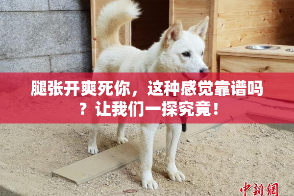 腿张开爽死你，这种感觉靠谱吗？让我们一探究竟！