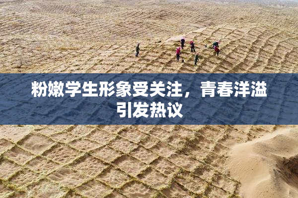 粉嫩学生形象受关注，青春洋溢引发热议