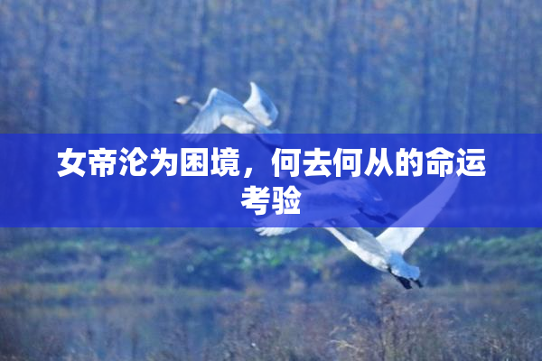 女帝沦为困境，何去何从的命运考验