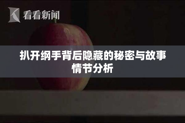扒开纲手背后隐藏的秘密与故事情节分析